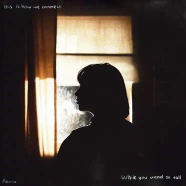 This is How We Connect, While You Stand So Tall by Patricia Lalor - album cover