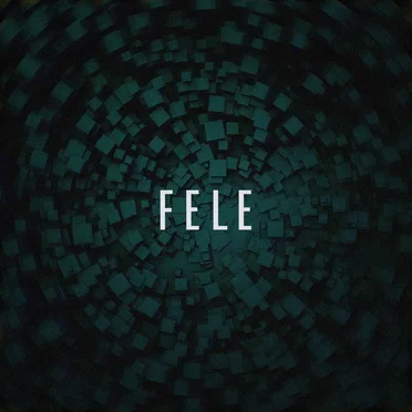 The Sound of Hard by Fele - album cover
