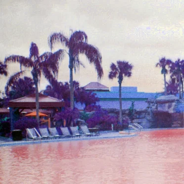 Purple Palm