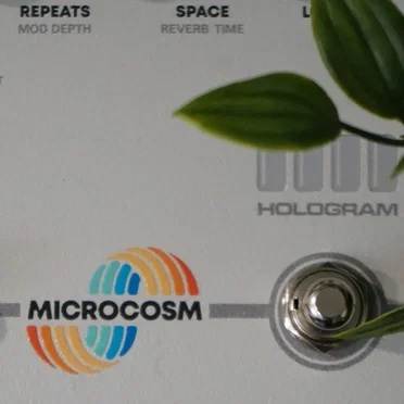 Microcosm by Emily Hopkins - album cover