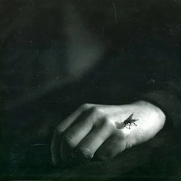 Si muove e ride by Colloquio - album cover