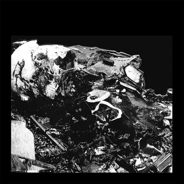 Macro Induced Orgasm by Body Carve - album cover