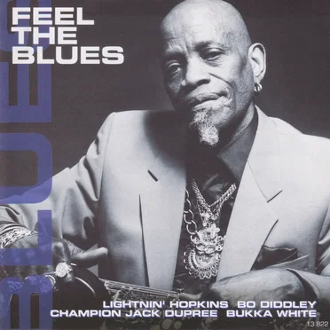 Feel The Blues by Various Artists - album cover