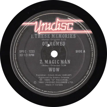 These Memories / Magic Man / I Want A Man