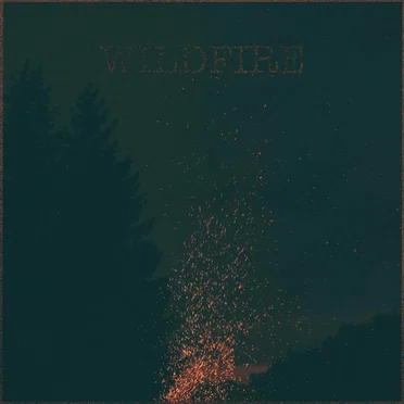 Wildfire