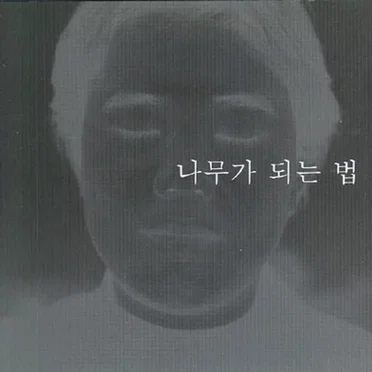 나무가 되는 법