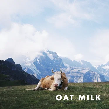 Oat Milk by Dutch Criminal Record - album cover