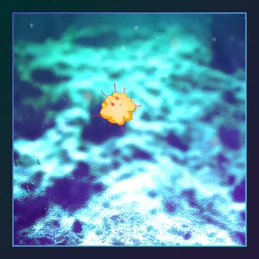 Summer in Mars