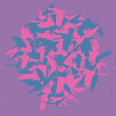 The Momentary Aviary