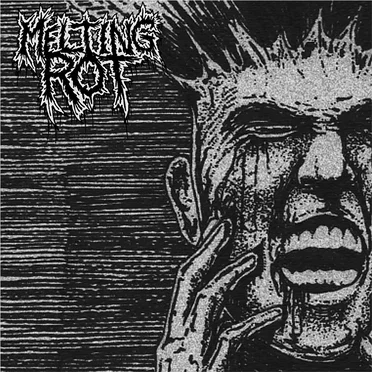 Melting Rot by Melting Rot - album cover