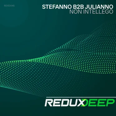 Non intellego by Stefanno b2b Julianno - album cover