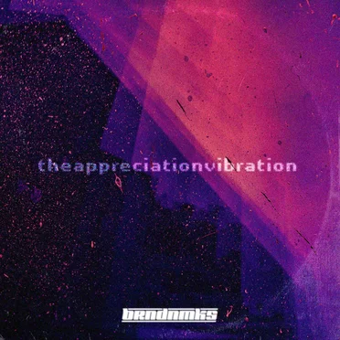 The Appreciation Vibration by Brandon Meeks - album cover