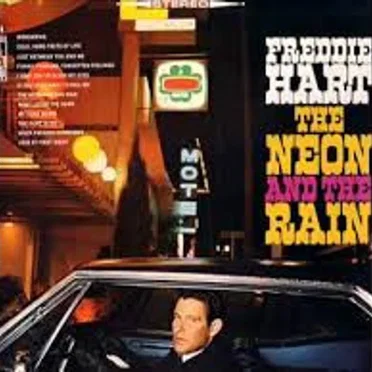 The Neon and the Rain