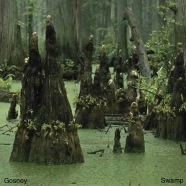 Swamp