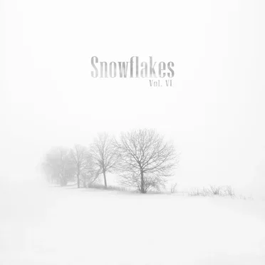 Snowflakes VI by Various Artists - album cover