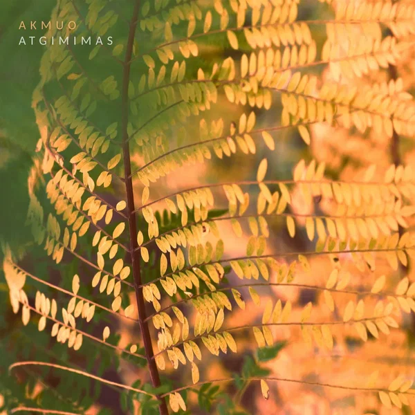 Atgimimas