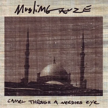 Camel Through a Needles Eye