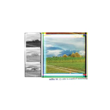 netBloc, Volume 13: Color in a World of Monochrome by Various Artists - album cover