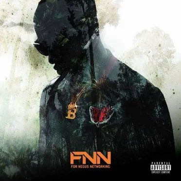 FNN - For Negus Networking by B. Will - album cover