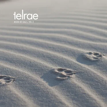 Telrae Mix Vol. 3 by Salz - album cover
