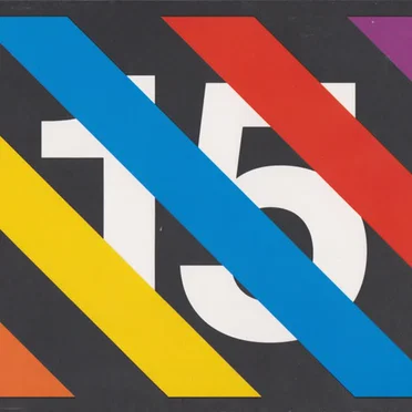 Skint / Fifteen 1995-2010 by Various Artists - album cover