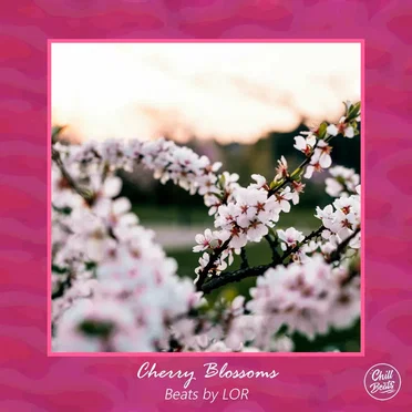 Cherry Blossoms