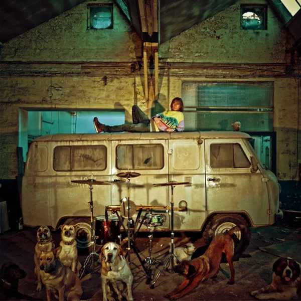 Chien d'la casse
