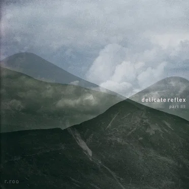 Delicate Reflex, Part 3