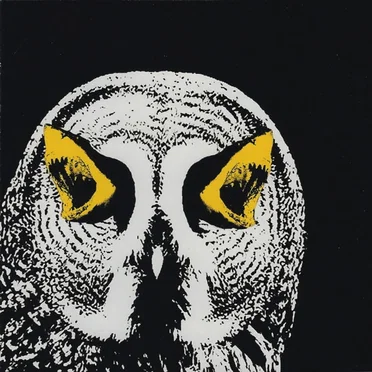 Kitchie Kitchie Ki Me O by Kitchie Kitchie Ki Me O - album cover