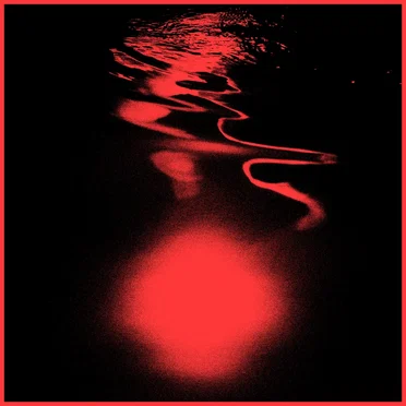 Blood in the water