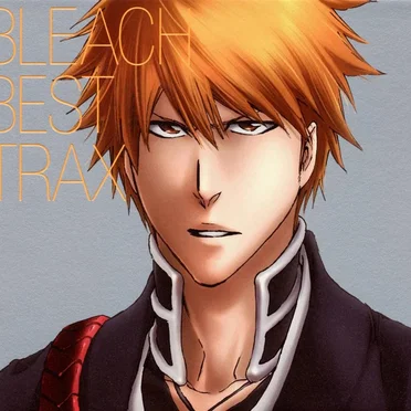 BLEACH BEST TRAX by Various Artists - album cover