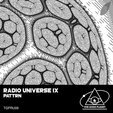 Radio Universe IX