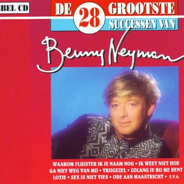 De 28 grootste successen