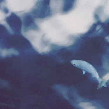 Moving Currents - 001