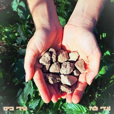 שירי כיס