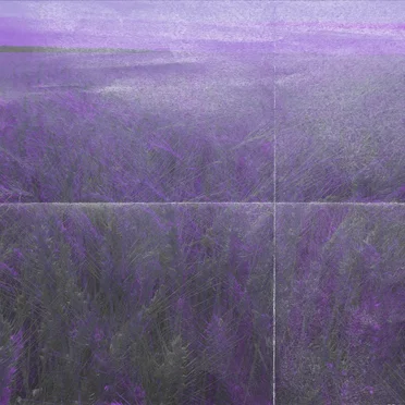 Sauntering the Thicket of the Weeping Valley