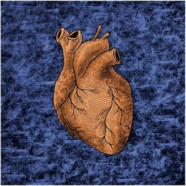 Heart Over Mind EP