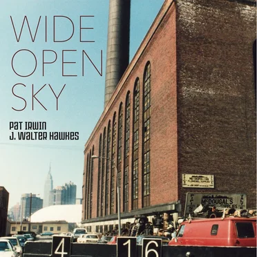 Wide Open Sky by Pat Irwin - album cover