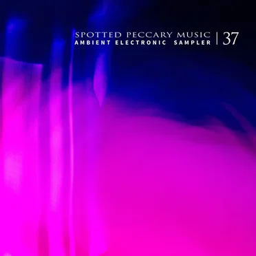 37 - Free Ambient Electronic Sampler by Various Artists - album cover