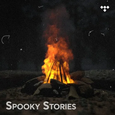 Spooky Stories by the Campfire by Ari Abdul - album cover