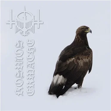 Kosmos Erwache by Kaevum - album cover