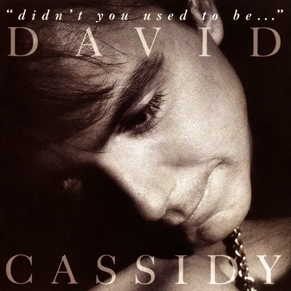 “Didn’t You Used to Be…”