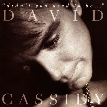 “Didn’t You Used to Be…”