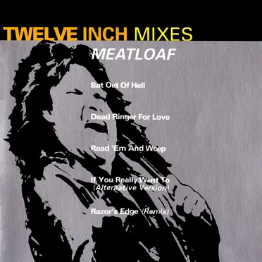 Twelve Inch Mixes