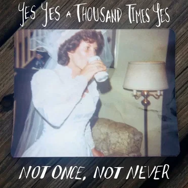 Not Once, Not Never by Yes Yes a Thousand Times Yes - album cover