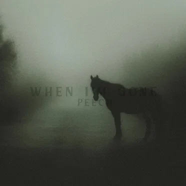 When I'm Gone