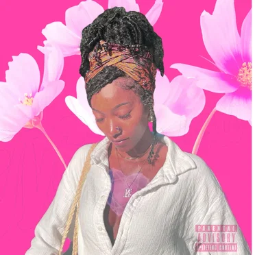 Not Like You by Litty Vuitton - album cover