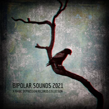Bipolar Sounds 2021 by Various Artists - album cover
