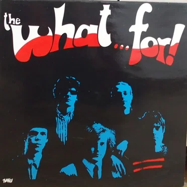 the what...for! by The What…For! - album cover