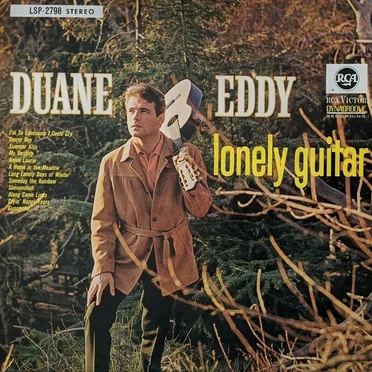 Lonely Guitar